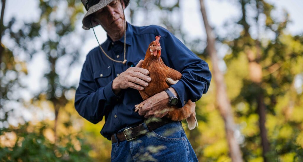 A Vital Farms farmer holding a pasture-raised hen